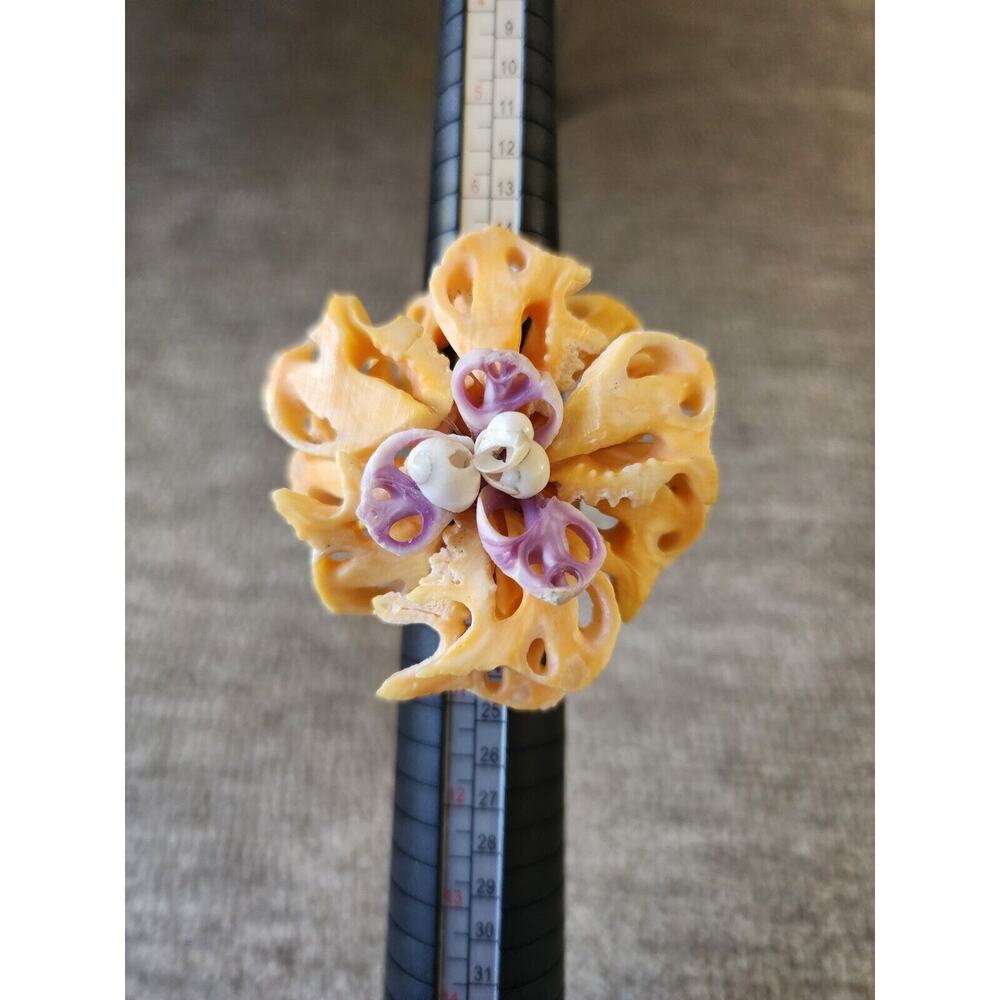 Tahitian Handmade Shell Coral Ring French Polynesia Style Sz 9 StatementPiece 2"